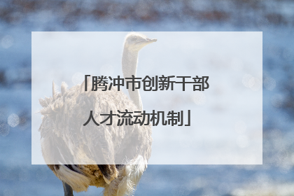 腾冲市创新干部人才流动机制
