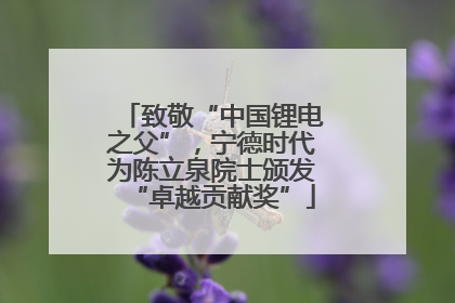 致敬“中国锂电之父”，宁德时代为陈立泉院士颁发“卓越贡献奖”