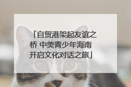 自贸港架起友谊之桥 中美青少年海南开启文化对话之旅