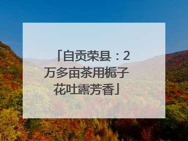 自贡荣县：2万多亩茶用栀子花吐露芳香