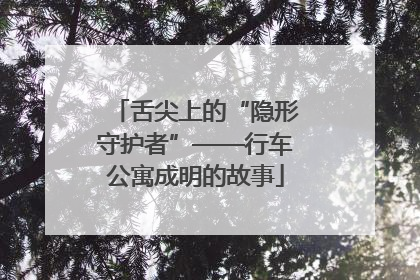 舌尖上的“隐形守护者”——行车公寓成明的故事