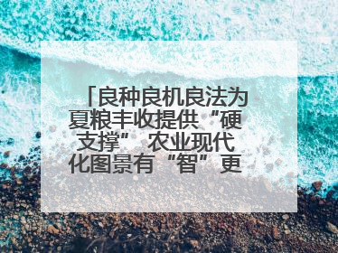 良种良机良法为夏粮丰收提供“硬支撑” 农业现代化图景有“智”更有“质”