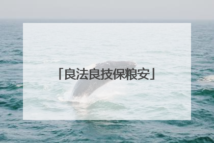 良法良技保粮安