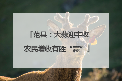 范县：大蒜迎丰收 农民增收有胜“蒜”