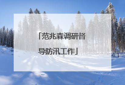范兆森调研督导防汛工作