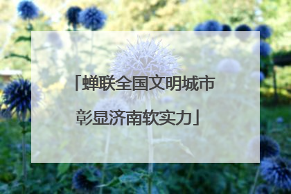 蝉联全国文明城市 彰显济南软实力