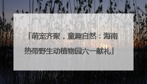 萌宠齐聚，童趣自然：海南热带野生动植物园六一献礼