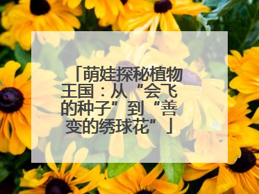 萌娃探秘植物王国：从“会飞的种子”到“善变的绣球花”