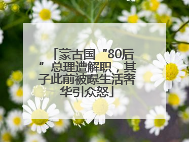 蒙古国“80后”总理遭解职，其子此前被曝生活奢华引众怒