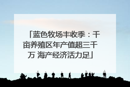 蓝色牧场丰收季：千亩养殖区年产值超三千万 海产经济活力足