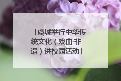 虞城举行中华传统文化（戏曲·非遗）进校园活动