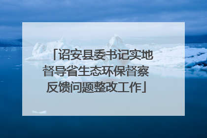 诏安县委书记实地督导省生态环保督察反馈问题整改工作