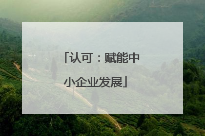 认可：赋能中小企业发展
