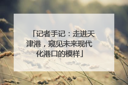 记者手记：走进天津港，窥见未来现代化港口的模样