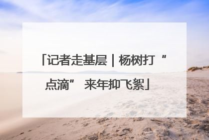 记者走基层｜杨树打“点滴” 来年抑飞絮