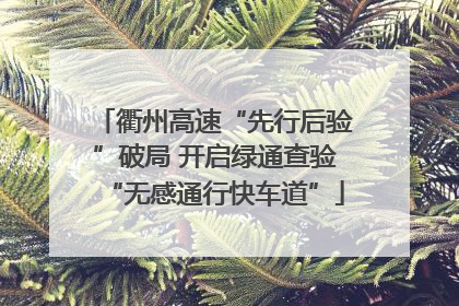 衢州高速“先行后验”破局 开启绿通查验“无感通行快车道”