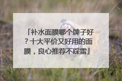 补水面膜哪个牌子好？十大平价又好用的面膜，良心推荐不踩雷