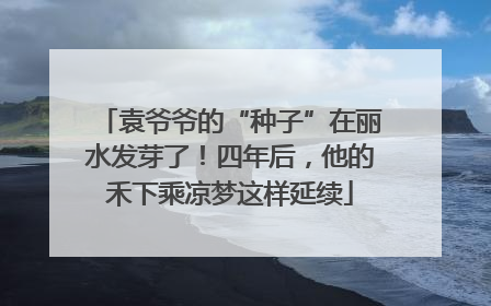 袁爷爷的“种子”在丽水发芽了！四年后，他的禾下乘凉梦这样延续