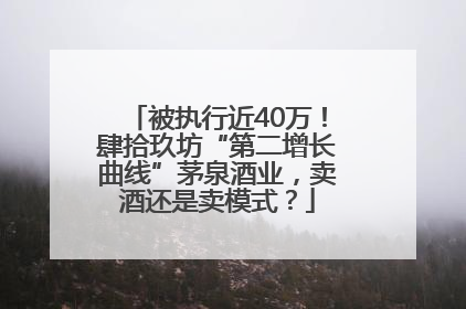 被执行近40万！肆拾玖坊“第二增长曲线”茅泉酒业，卖酒还是卖模式？