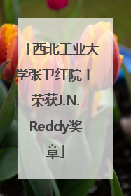 西北工业大学张卫红院士荣获J.N.Reddy奖章