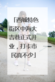 西城特色街区中海大吉巷正式开业，打卡市民真不少