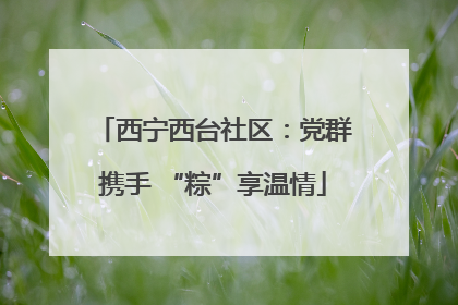 西宁西台社区：党群携手 “粽”享温情
