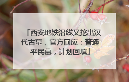 西安地铁沿线又挖出汉代古墓，官方回应：普通平民墓，计划回填