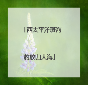 西太平洋斑海豹放归大海