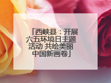 西峡县：开展六五环境日主题活动 共绘美丽中国新画卷