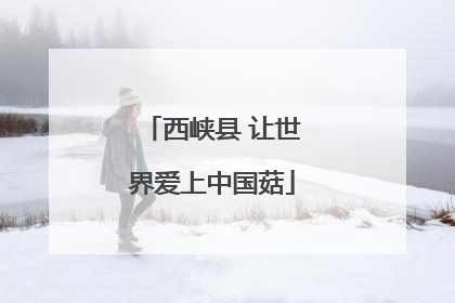 西峡县 让世界爱上中国菇