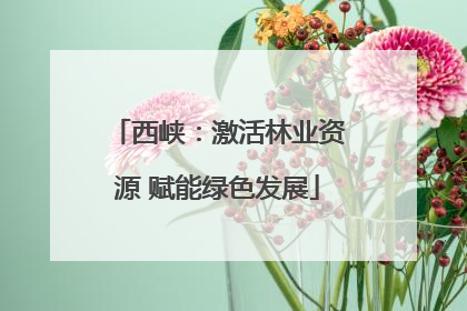 西峡：激活林业资源 赋能绿色发展
