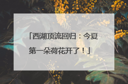 西湖顶流回归：今夏第一朵荷花开了！