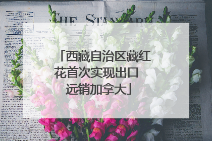西藏自治区藏红花首次实现出口 远销加拿大