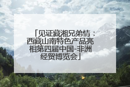 见证藏湘兄弟情：西藏山南特色产品亮相第四届中国-非洲经贸博览会