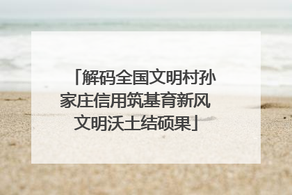 解码全国文明村孙家庄信用筑基育新风文明沃土结硕果