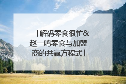 解码零食很忙&赵一鸣零食与加盟商的共赢方程式