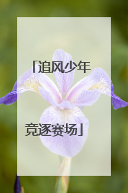 追风少年竞逐赛场