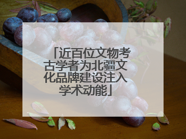 近百位文物考古学者为北疆文化品牌建设注入学术动能