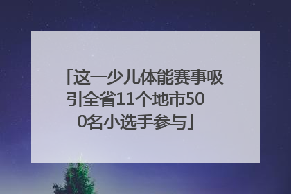 这一少儿体能赛事吸引全省11个地市500名小选手参与