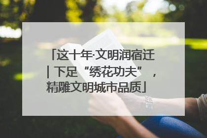 这十年·文明润宿迁｜下足“绣花功夫”，精雕文明城市品质