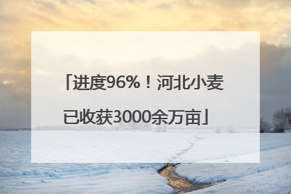进度96%！河北小麦已收获3000余万亩