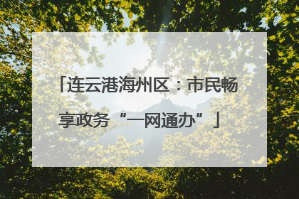 连云港海州区：市民畅享政务“一网通办”
