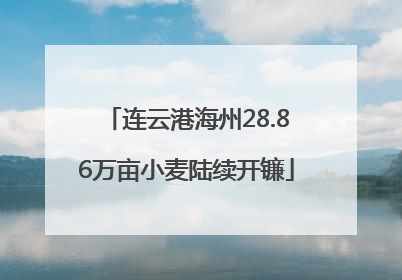 连云港海州28.86万亩小麦陆续开镰