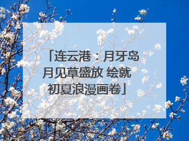 连云港：月牙岛月见草盛放 绘就初夏浪漫画卷