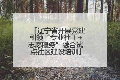 辽宁省开展党建引领“专业社工+志愿服务”融合试点社区建设培训