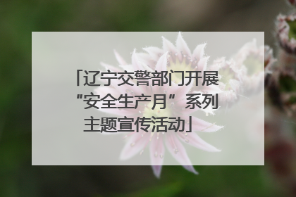 辽宁交警部门开展“安全生产月”系列主题宣传活动