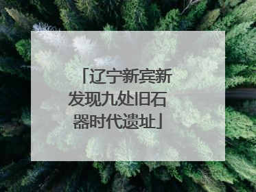 辽宁新宾新发现九处旧石器时代遗址
