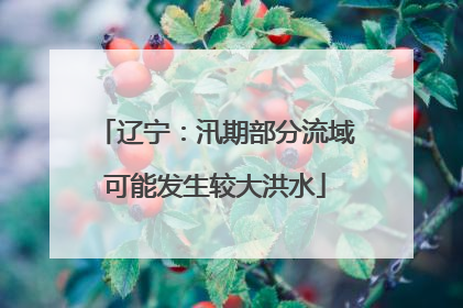 辽宁：汛期部分流域可能发生较大洪水