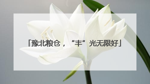 豫北粮仓，“丰”光无限好