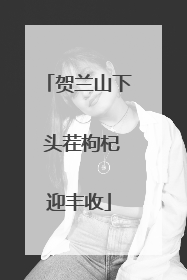 贺兰山下 头茬枸杞迎丰收